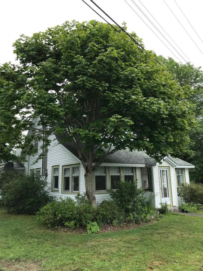 Studio 181 Bed&Breakfast Bed and Breakfast Port Clyde Exterior foto